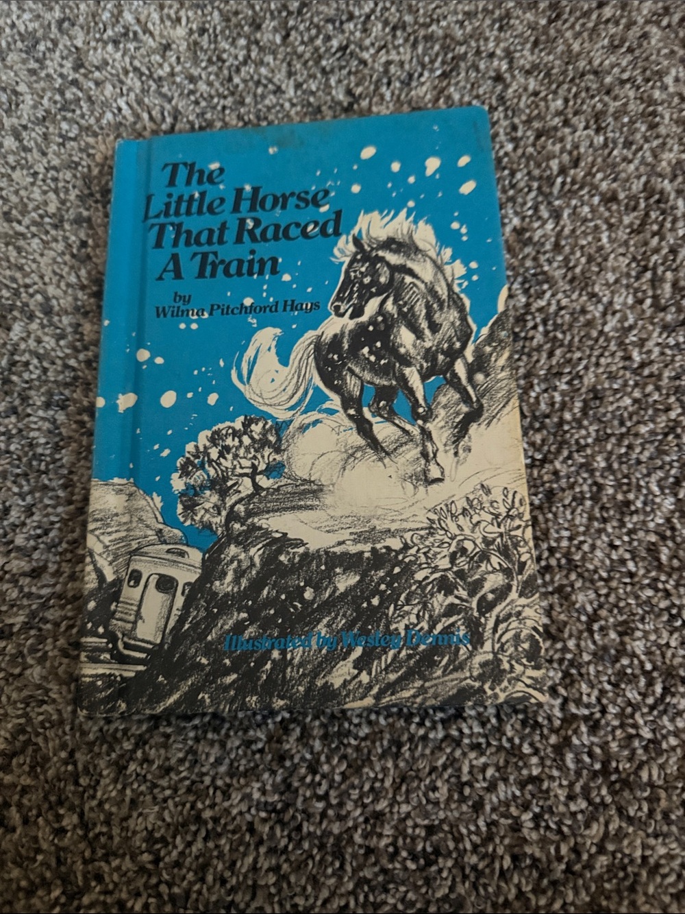 The Little Horse That Raced a Train Hardcover Book - Blue